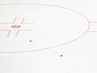 В Новосибирске во время матча болельщики избили хоккеиста В Новосибирске во время матча болельщики избили хоккеиста