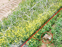 На границе Газы убиты террористы, ХАМАС и "Исламский джихад" угрожают обстрелом Тель-Авива На границе Газы убиты террористы, ХАМАС и "Исламский джихад" угрожают обстрелом Тель-Авива