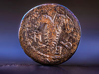 Виноградная гроздь и надпись "Второй год свободы Израиля"