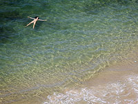 Прогноз погоды на 22 мая: понижение температуры, переменная облачность Прогноз погоды на 22 мая: понижение температуры, переменная облачность