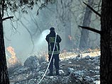 Пожарным не удалось быстро локализовать пламя Пожарным не удалось быстро локализовать пламя