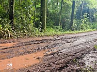 В национальном парке Тейю Куаре В национальном парке Тейю Куаре