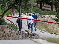 На месте происшествия. 10 мая 2016 года На месте происшествия. 10 мая 2016 года