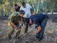 На месте падения обломков ракеты Patriot. Голаны, 17 июля 2016 года На месте падения обломков ракеты Patriot. Голаны, 17 июля 2016 года