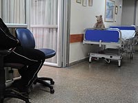 Налоговое управление арестовало счета больницы "Ланиадо" Налоговое управление арестовало счета больницы "Ланиадо"