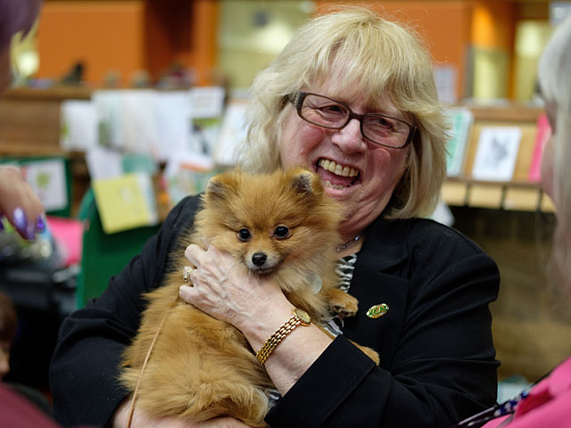 Crufts Dog Show 2018: крупнейшая собачья выставка Европы