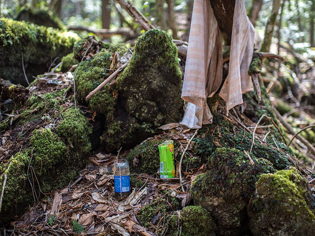 Лес самоубийц на склонах Фудзиямы