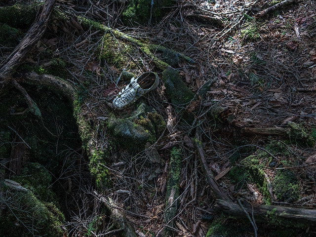 Лес самоубийц на склонах Фудзиямы