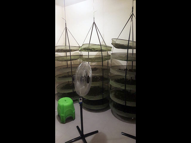 В Кфар-Тавор обнаружена лаборатория по производству наркотиков  