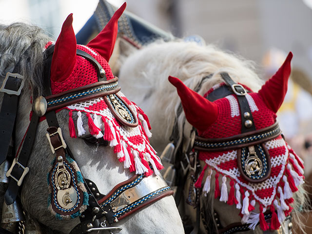 В честь Святого Георгия: конное шествие в Германии