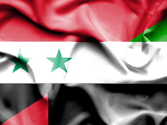 ОАЭ поддержали удар союзников по Сирии   