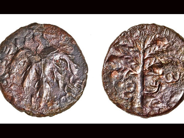 В пещере к северу от Модиина найдена редкая монета восстания Бар-Кохбы  