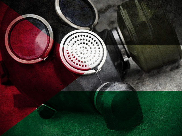 ОЗХО: "Государство Палестина" присоединилась к конвенции по химоружию  