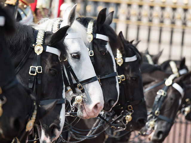 Репетиция церемонии "Trooping the Colour"