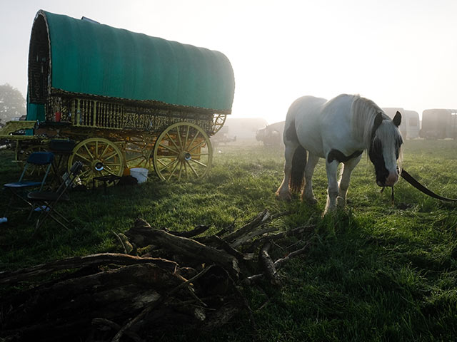 Лошадки в тумане: цыганский фестиваль в Англии
