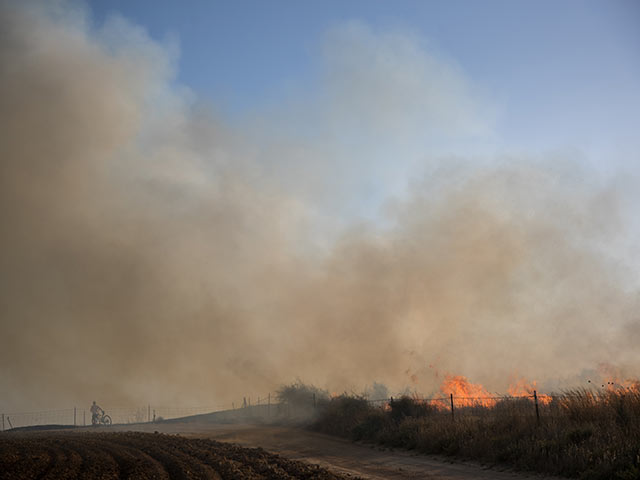 Поджоги на границе Газы: пожарные работают в пяти точках возгорания  