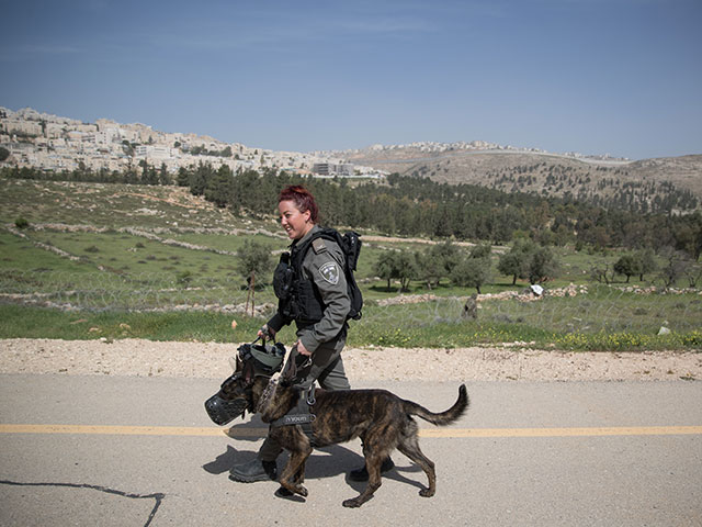 Полиция проводит учения неподалеку от Иерусалима  