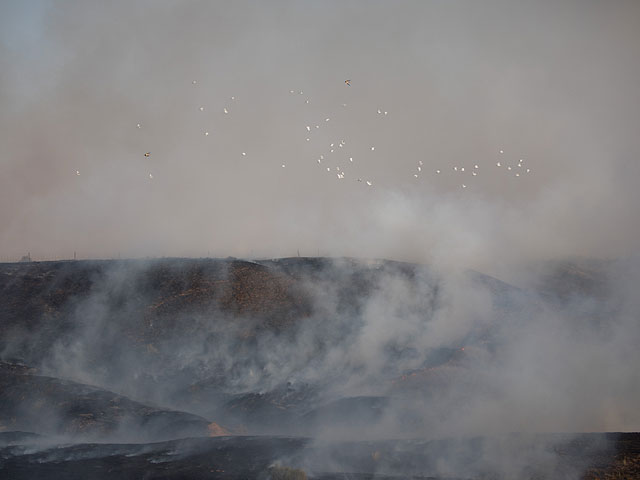 Горящие воздушные змеи вновь привели к пожарам на границе с Газой  