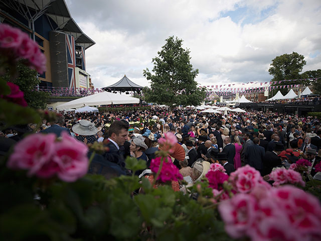 Скачки Royal Ascot 2018