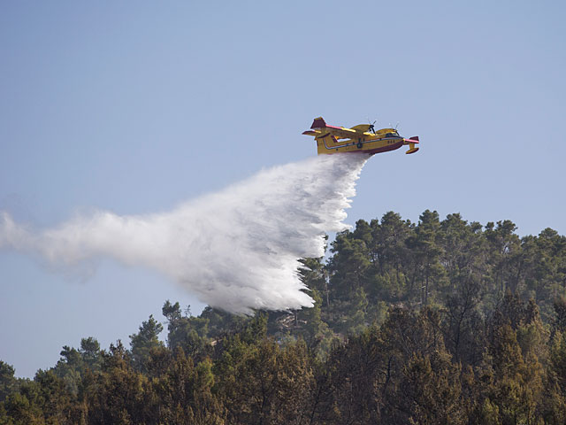 Швеция обратилась за международной помощью для тушения лесных пожаров  Власти Швеции обратились к международному сообществу с призывом прислать самолеты для тушения крупных лесных пожаров.    На текущий момент в стране бушуют 44 пожара, уже уничтожившие 5