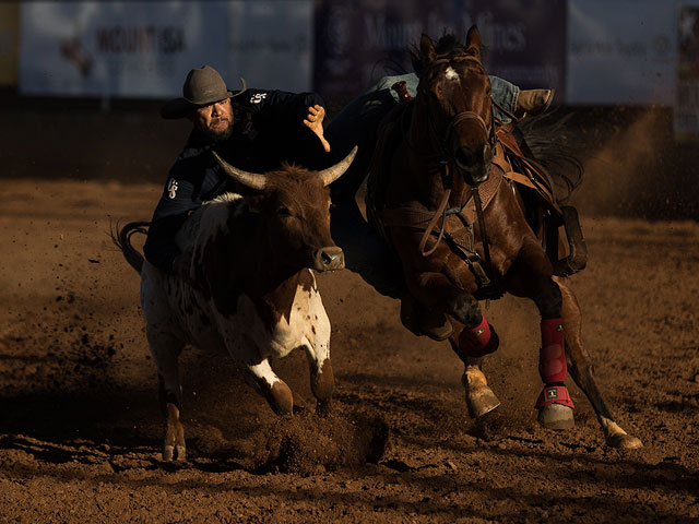 "Isa Rodeo": юбилейные соревнования в Австралии