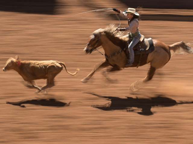 "Isa Rodeo": юбилейные соревнования в Австралии