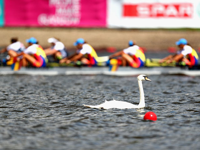 Чемпионат Европы по водным видам спорта