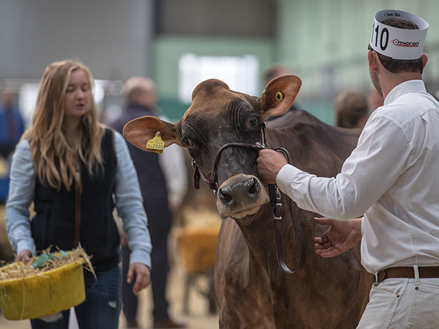 "Bath and West Dairy Show" в Сомерсете