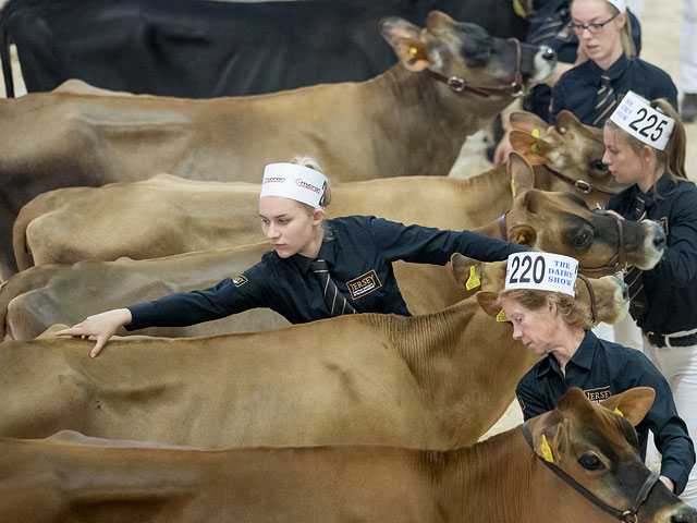 "Bath and West Dairy Show" в Сомерсете