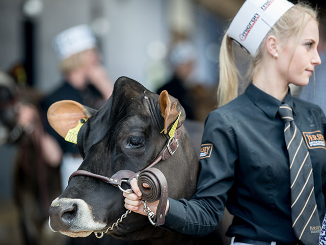 "Bath and West Dairy Show" в Сомерсете