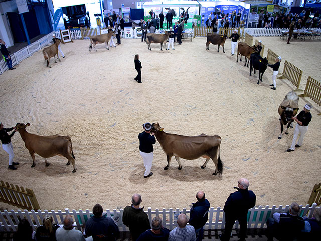 "Bath and West Dairy Show" в Сомерсете