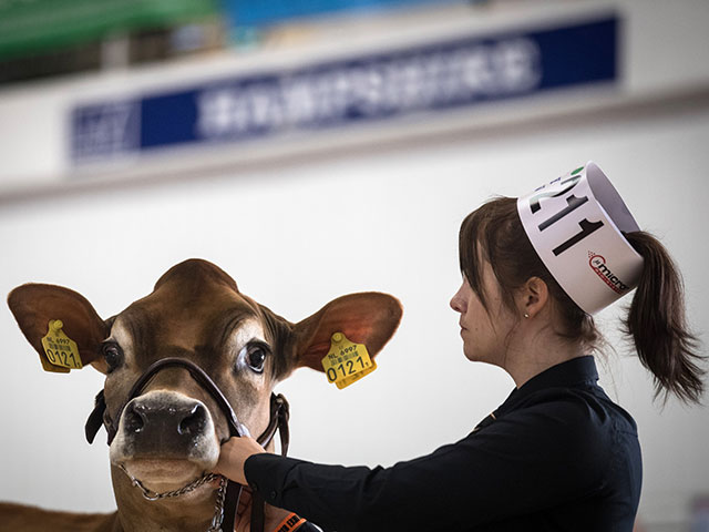 "Bath and West Dairy Show" в Сомерсете