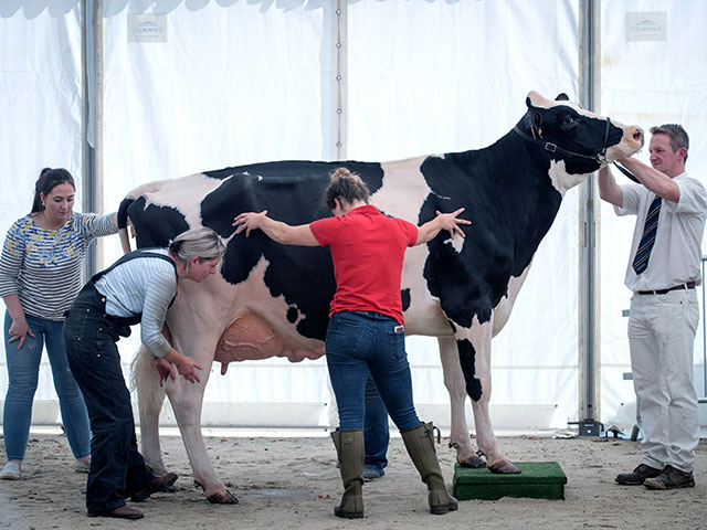 "Bath and West Dairy Show" в Сомерсете