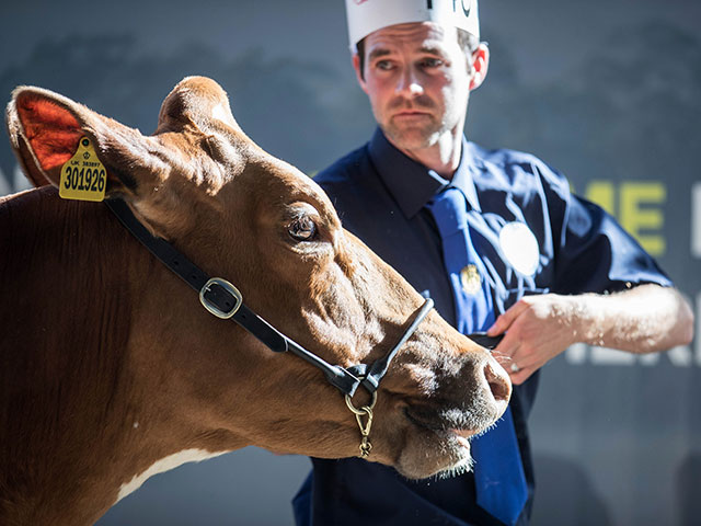 "Bath and West Dairy Show" в Сомерсете