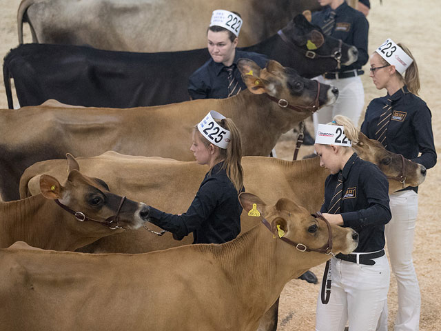 "Bath and West Dairy Show" в Сомерсете