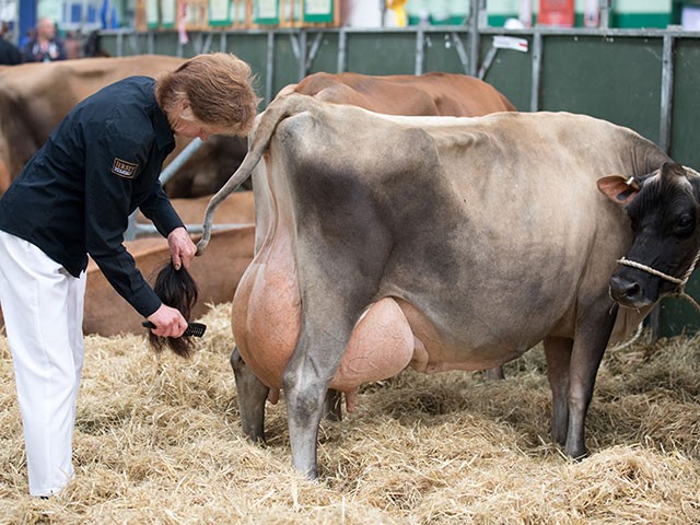 "Bath and West Dairy Show" в Сомерсете