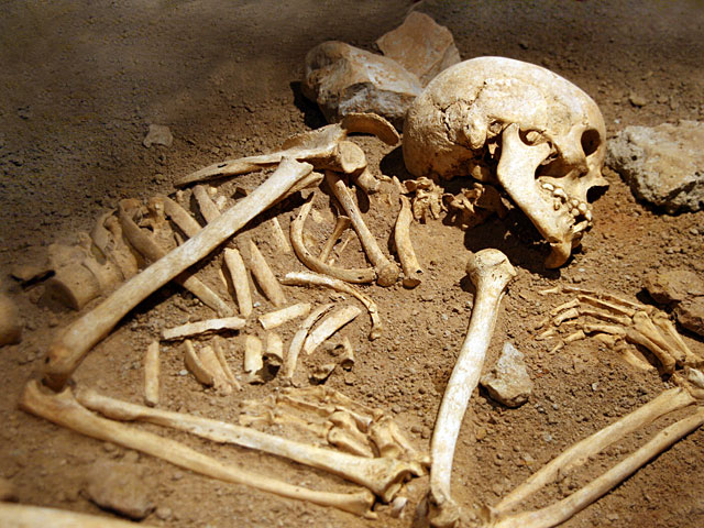 125 скелетов на Русском подворье: свидетельство жестокости Александра Янная