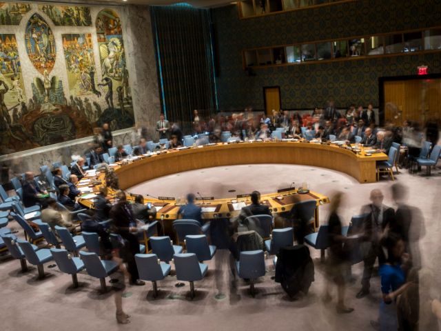 Глава "Бецелем" выступил на заседании СБ ООН с речью, вызвавшей возмущение в Иерусалиме