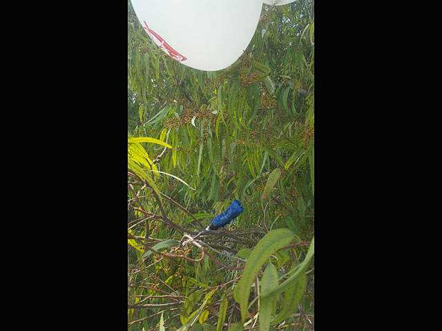 Воздушный шар с привязанной к нему гранатой обнаружен в Эшколе
