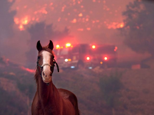 Самый сильный лесной пожар в истории Калифорнии: число жертв растет