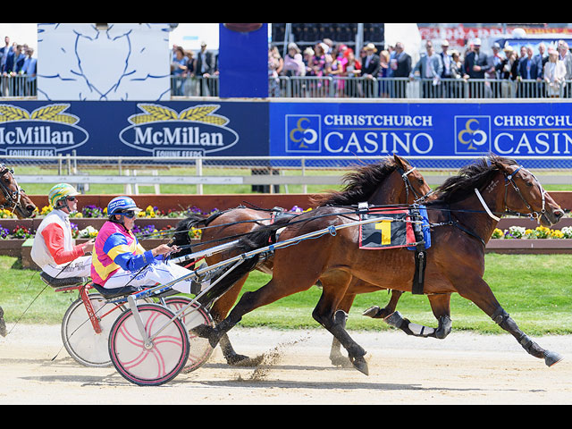 The New Zealand Trotting Cup