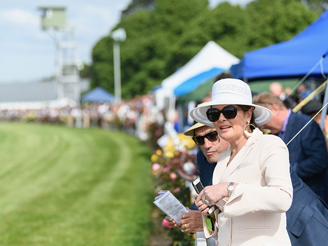 The New Zealand Trotting Cup
