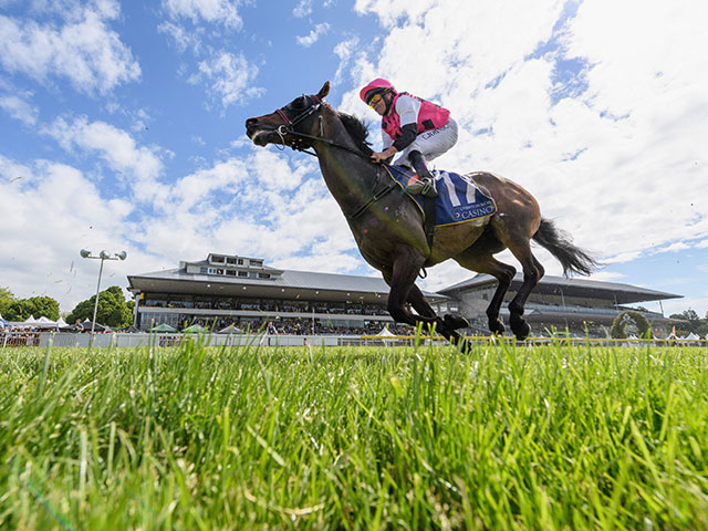 The New Zealand Trotting Cup