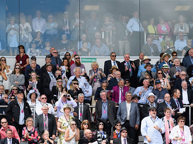 The New Zealand Trotting Cup