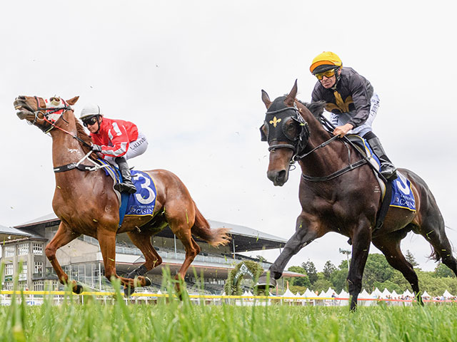 The New Zealand Trotting Cup