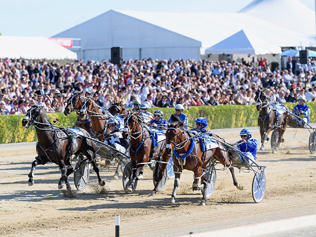 The New Zealand Trotting Cup