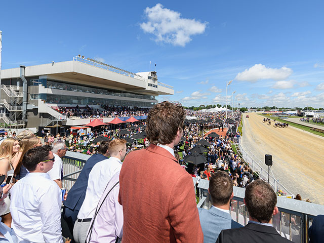 The New Zealand Trotting Cup