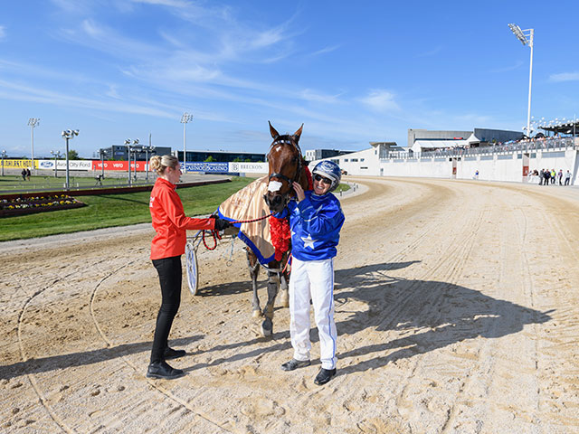 The New Zealand Trotting Cup