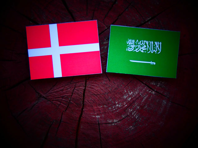 Дания приостанавливает выдачу лицензий на экспорт оружия Саудовской Аравии  