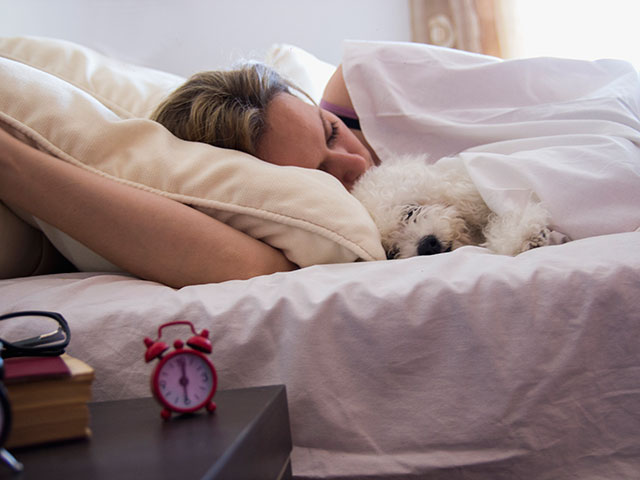 Исследование: женщины засыпают рядом с собакой лучше, чем с партнером или кошкой  